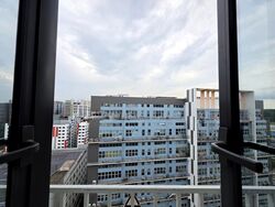 Ct Foodnex (D25), Factory #498767731